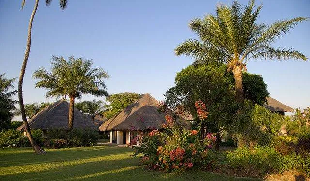 Bungalows aux toits de chaume sous les palmiers